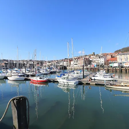 Whispering Willows *