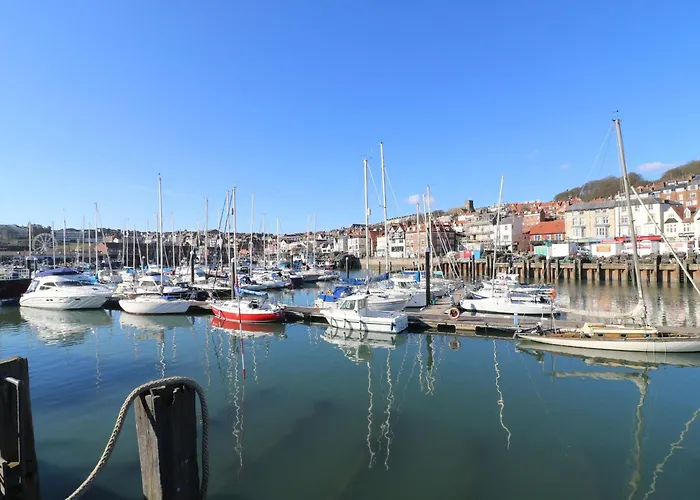 Whispering Willows *